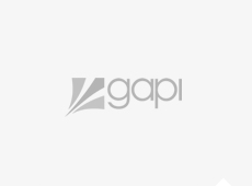 GAPI - Sociedade de Investimentos